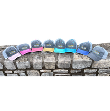 Load image into Gallery viewer, Mesh Ball Cap / Hat - Pony Club Color Bar Logo