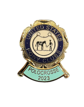 Load image into Gallery viewer, Historic Pins (Set of 20)