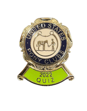 Load image into Gallery viewer, Historic Pins (Set of 10)