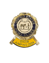 Load image into Gallery viewer, Historic Pins (Set of 5)