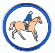 Badge - Set of 10 Riding