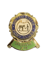 Load image into Gallery viewer, Historic Pins (Set of 20)
