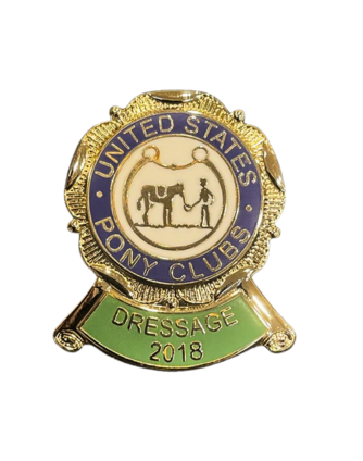 Historic Pins (Single)