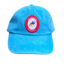 Load image into Gallery viewer, 2026 Festival Ballcap
