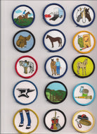 Badge - Set of 15 Horse Management