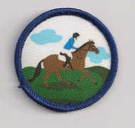 Badge - Conditioning