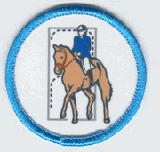 Load image into Gallery viewer, Badge - Set of 10 Riding
