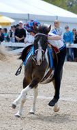 USPC Mounted Games Score Sheets