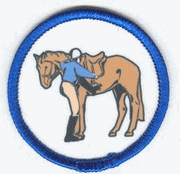Badge - Mount/Dismount
