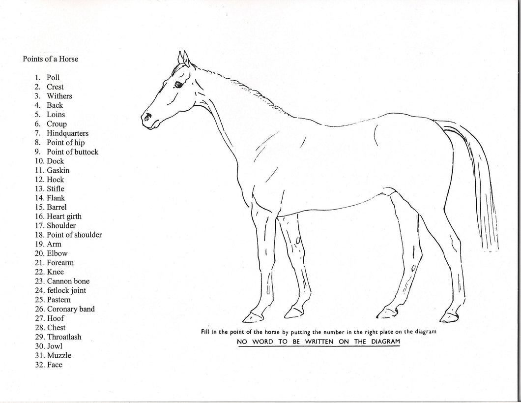 Points of the Horse Game
