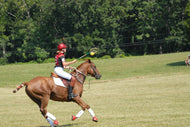 USPC Polocrosse Score Sheets