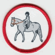 Load image into Gallery viewer, Badge - Set of 10 Riding
