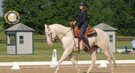 USPC Western Dressage Score Sheets