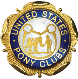 USPC Member Pin Stickers