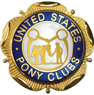 USPC Member Pin Stickers
